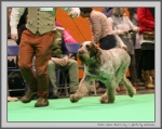 Filename=I_WhenDovesCry_2.jpg
Filesize=162KiB
Dimensions=1069x850
Date added=Mar 23, 2021 I_WhenDovesCry_2.jpg