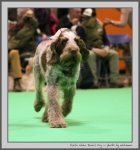 Filename=I_WhenDovesCry_3.jpg
Filesize=119KiB
Dimensions=850x905
Date added=Mar 23, 2021 I_WhenDovesCry_3.jpg