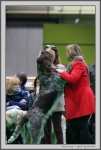 Filename=J_Rossi.jpg
Filesize=159KiB
Dimensions=850x1253
Date added=Mar 23, 2021 J_Rossi.jpg