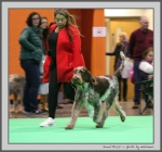 Filename=J_Rossi_6.jpg
Filesize=131KiB
Dimensions=910x850
Date added=Mar 23, 2021 J_Rossi_6.jpg