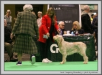Filename=J_TanquerayBloomsbury.jpg
Filesize=195KiB
Dimensions=1159x850
Date added=Mar 23, 2021 J_TanquerayBloomsbury.jpg