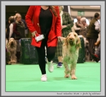 Filename=J_Valentino_3.jpg
Filesize=133KiB
Dimensions=920x850
Date added=Mar 23, 2021 J_Valentino_3.jpg