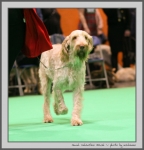 Filename=J_Valentino_6.jpg
Filesize=108KiB
Dimensions=850x882
Date added=Mar 23, 2021 J_Valentino_6.jpg