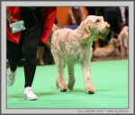 Filename=J_Valentino_7.jpg
Filesize=126KiB
Dimensions=998x850
Date added=Mar 23, 2021 J_Valentino_7.jpg