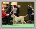 Filename=K_EbrelFyllys.jpg
Filesize=147KiB
Dimensions=1067x850
Date added=Mar 23, 2021 K_EbrelFyllys.jpg