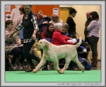 Filename=K_EbrelFyllys_1.jpg
Filesize=164KiB
Dimensions=1021x850
Date added=Mar 23, 2021 K_EbrelFyllys_1.jpg
