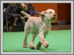 Filename=K_EbrelFyllys_2.jpg
Filesize=128KiB
Dimensions=1148x850
Date added=Mar 23, 2021 K_EbrelFyllys_2.jpg