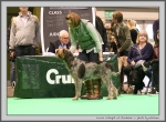 Filename=L_Catequil.jpg
Filesize=226KiB
Dimensions=1159x850
Date added=Mar 23, 2021 L_Catequil.jpg