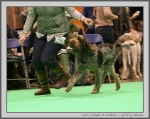 Filename=L_Catequil_2.jpg
Filesize=169KiB
Dimensions=1063x850
Date added=Mar 23, 2021 L_Catequil_2.jpg