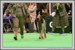 Filename=L_HereComesSummer_2.jpg
Filesize=198KiB
Dimensions=1258x850
Date added=Mar 23, 2021 L_HereComesSummer_2.jpg