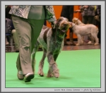 Filename=L_HereComesSummer_6.jpg
Filesize=135KiB
Dimensions=963x850
Date added=Mar 23, 2021 L_HereComesSummer_6.jpg