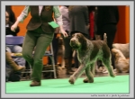 Filename=L_Morello_2.jpg
Filesize=153KiB
Dimensions=1159x850
Date added=Mar 23, 2021 L_Morello_2.jpg