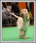 Filename=M_HarrysRock_6.jpg
Filesize=118KiB
Dimensions=850x994
Date added=Mar 23, 2021 M_HarrysRock_6.jpg