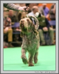 Filename=M_Hugo_2.jpg
Filesize=123KiB
Dimensions=850x1063
Date added=Mar 23, 2021 M_Hugo_2.jpg