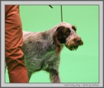Filename=O_CurlyWurly_1.jpg
Filesize=126KiB
Dimensions=1007x850
Date added=Mar 23, 2021 O_CurlyWurly_1.jpg