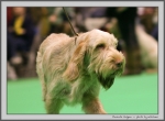 Filename=P_Enigma_2.jpg
Filesize=141KiB
Dimensions=1158x850
Date added=Mar 23, 2021 P_Enigma_2.jpg