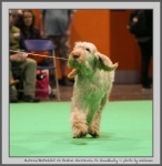 Filename=R_Cherriecola_6.jpg
Filesize=107KiB
Dimensions=850x869
Date added=Mar 23, 2021 R_Cherriecola_6.jpg