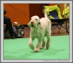 Filename=R_Cienna_3.jpg
Filesize=127KiB
Dimensions=975x850
Date added=Mar 23, 2021 R_Cienna_3.jpg