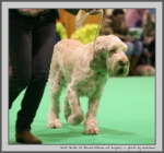 Filename=R_Ellena_1.jpg
Filesize=114KiB
Dimensions=910x850
Date added=Mar 23, 2021 R_Ellena_1.jpg