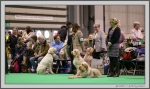 Filename=Spectators.jpg
Filesize=248KiB
Dimensions=1422x850
Date added=Mar 23, 2021 Spectators.jpg