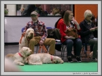 Filename=Spectators_1.jpg
Filesize=171KiB
Dimensions=1134x850
Date added=Mar 23, 2021 Spectators_1.jpg