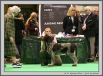 Filename=T_Ettore.jpg
Filesize=190KiB
Dimensions=1159x850
Date added=Mar 23, 2021 T_Ettore.jpg