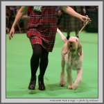 Filename=T_MuckNMagic_4.jpg
Filesize=122KiB
Dimensions=850x850
Date added=Mar 23, 2021 T_MuckNMagic_4.jpg