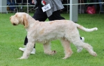 Filename=Aurelia-TheExplorer_281029.JPG
Filesize=224KiB
Dimensions=1000x643
Date added=Mar 23, 2021 Aurelia-TheExplorer_281029.JPG