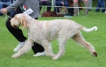 Filename=Aurelia-TheExplorer_282229.JPG
Filesize=218KiB
Dimensions=1000x635
Date added=Mar 23, 2021 Aurelia-TheExplorer_282229.JPG