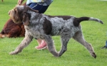 Filename=L-Catequil_282129.JPG
Filesize=236KiB
Dimensions=1000x623
Date added=Mar 23, 2021 L-Catequil_282129.JPG