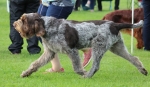 Filename=L-Catequil_282729.JPG
Filesize=225KiB
Dimensions=1000x584
Date added=Mar 23, 2021 L-Catequil_282729.JPG