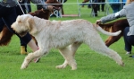 Filename=L-LaCassa_281729.JPG
Filesize=204KiB
Dimensions=1000x590
Date added=Mar 23, 2021 L-LaCassa_281729.JPG