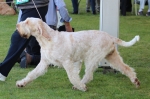 Filename=Aurelia-TheExplorer.JPG
Filesize=207KiB
Dimensions=1000x665
Date added=Mar 23, 2021 Aurelia-TheExplorer.JPG