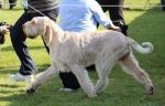 Filename=Aurelia-TheExplorer_281129.JPG
Filesize=218KiB
Dimensions=1000x641
Date added=Mar 23, 2021 Aurelia-TheExplorer_281129.JPG