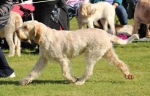 Filename=Aurelia-TheExplorer_283029.JPG
Filesize=232KiB
Dimensions=1000x646
Date added=Mar 23, 2021 Aurelia-TheExplorer_283029.JPG