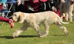 Filename=C-LimonCino_282529.JPG
Filesize=234KiB
Dimensions=1000x603
Date added=Mar 23, 2021 C-LimonCino_282529.JPG