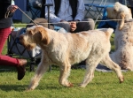 Filename=G-Gandini_282229.JPG
Filesize=279KiB
Dimensions=1000x746
Date added=Mar 23, 2021 G-Gandini_282229.JPG