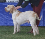 Filename=G-SignorPi.JPG
Filesize=243KiB
Dimensions=1000x862
Date added=Mar 23, 2021 G-SignorPi.JPG