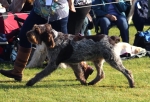 Filename=L-Catequil_285129.JPG
Filesize=269KiB
Dimensions=1000x681
Date added=Mar 23, 2021 L-Catequil_285129.JPG