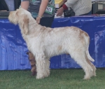 Filename=L-LaCassa_28229.JPG
Filesize=222KiB
Dimensions=1000x849
Date added=Mar 23, 2021 L-LaCassa_28229.JPG