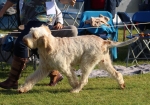 Filename=L-LaCassa_283029.JPG
Filesize=265KiB
Dimensions=1000x700
Date added=Mar 23, 2021 L-LaCassa_283029.JPG