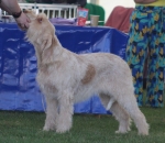 Filename=T-Aphrodite_28429.JPG
Filesize=235KiB
Dimensions=1000x869
Date added=Mar 23, 2021 T-Aphrodite_28429.JPG