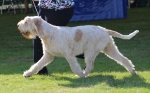 Filename=T-Aphrodite_28729.JPG
Filesize=175KiB
Dimensions=1000x621
Date added=Mar 23, 2021 T-Aphrodite_28729.JPG