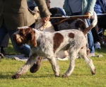 Filename=T-BackForGood_283129.JPG
Filesize=322KiB
Dimensions=1000x823
Date added=Mar 23, 2021 T-BackForGood_283129.JPG