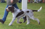 Filename=T-BackForGood_28829.JPG
Filesize=196KiB
Dimensions=1000x666
Date added=Mar 23, 2021 T-BackForGood_28829.JPG