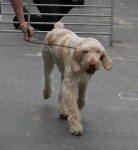 Filename=A-HappyEverAfter-1.jpg
Filesize=213KiB
Dimensions=800x869
Date added=Mar 23, 2021 A-HappyEverAfter-1.jpg