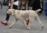 Filename=A-HappyEverAfter-2.jpg
Filesize=183KiB
Dimensions=800x577
Date added=Mar 23, 2021 A-HappyEverAfter-2.jpg