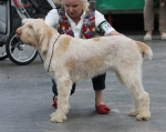 Filename=A-HappyEverAfter.jpg
Filesize=209KiB
Dimensions=800x637
Date added=Mar 23, 2021 A-HappyEverAfter.jpg