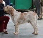 Filename=G-Gandini.jpg
Filesize=209KiB
Dimensions=800x710
Date added=Mar 23, 2021 G-Gandini.jpg