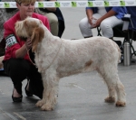 Filename=I-Fiorella.jpg
Filesize=219KiB
Dimensions=800x712
Date added=Mar 23, 2021 I-Fiorella.jpg